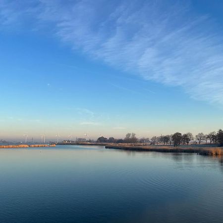 Hausboot Der Frieslaender Im Wangermeer Schillig Extérieur photo